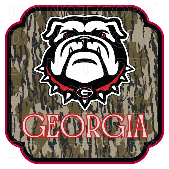 Bottomland Georgia Digital