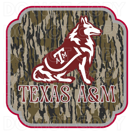 Bottomland Texas A&M Digital
