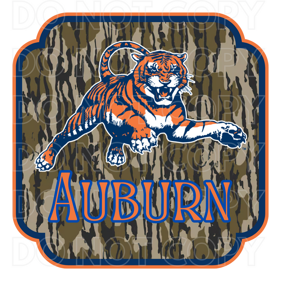 Bottomland Auburn Digital