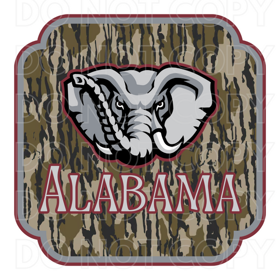 Bottomland Alabama Digital